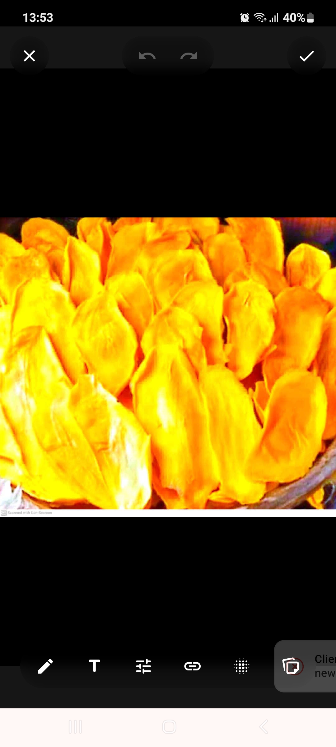 تصویر 1 از خرید و قیمت انبه چونسه خشک شده + فروش ویژه