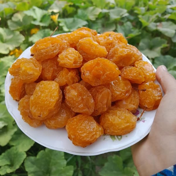 تصویر 3 از خرید جدیدترین انواع الو بخارا خشک معمولی