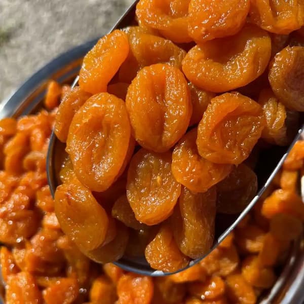 تصویر 5 از بهترین آلو بخارا خشک خورشتی + قیمت خرید عالی