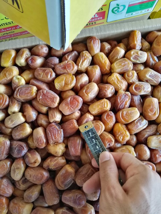 تصویر 5 از خرید انواع خرما زاهدی خشک عمده 1404 تازه برداشت