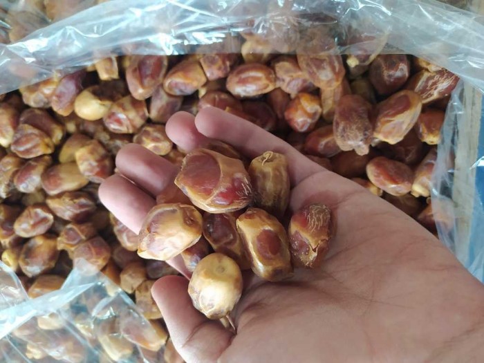 تصویر 2 از خرید انواع خرما زاهدی خشک عمده 1404 تازه برداشت