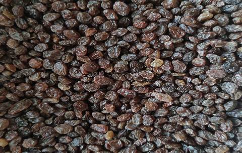 تصویر 2 از خرید اینترنتی کشمش آفتابی + فروش آنلاین