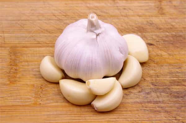 تصویر 3 از قیمت خرید سیر سفید بدون پوست + فروش ویژه