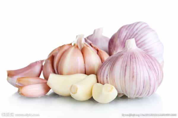 تصویر 1 از قیمت خرید سیر سفید بدون پوست + فروش ویژه