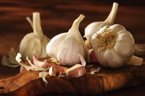 تصویر 2 از قیمت خرید سیر تند با فروش عمده