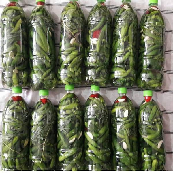 تصویر 5 از قیمت خرید خیارشور خانگی  + فروش ویژه