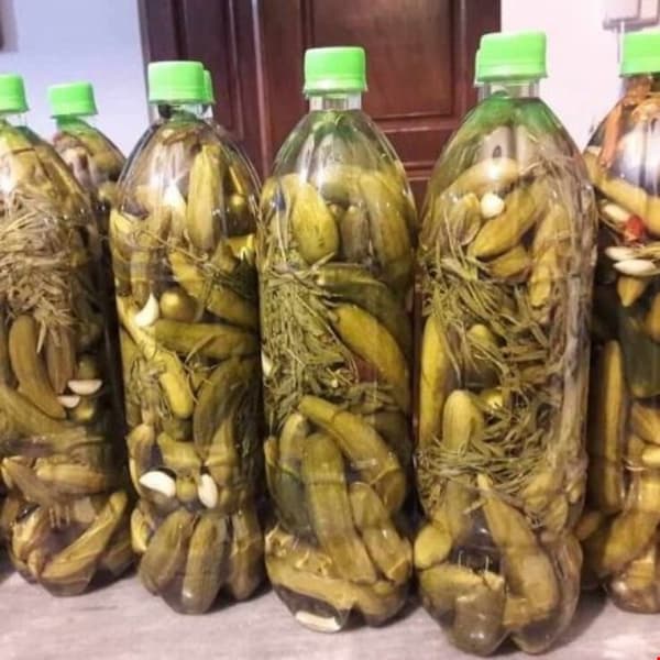 تصویر 4 از قیمت خرید خیارشور خانگی  + فروش ویژه