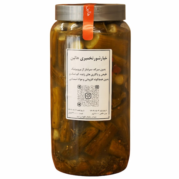 تصویر 5 از فروش خیارشور تخمیری  + قیمت خرید به صرفه