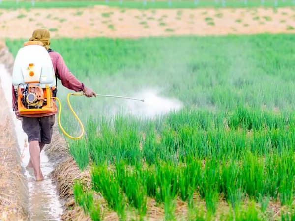 تصویر 3 از خرید سم پاش کشاورزی دستی با ظرفیت 22 لیتر  + قیمت فروش استثنایی