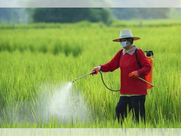 تصویر 4 از خرید سم پاش کشاورزی دستی با ظرفیت 22 لیتر  + قیمت فروش استثنایی
