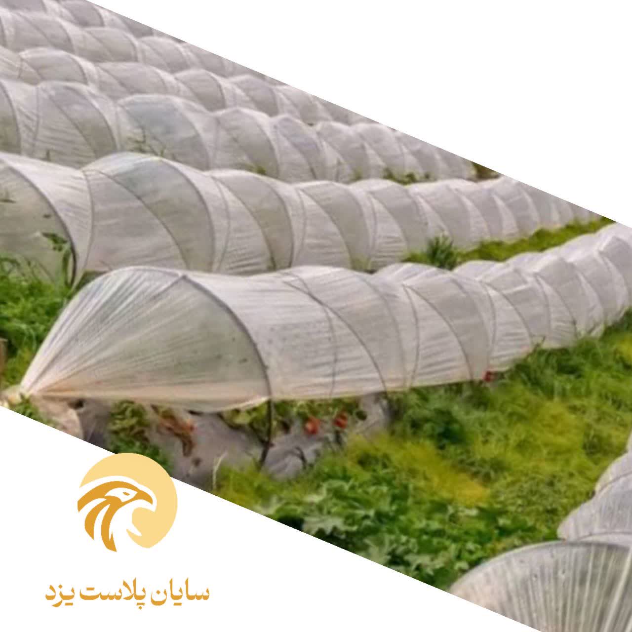 تصویر 1 از فروش نایلون گلخانه‌ ای مقاوم ویژه کشاورزان