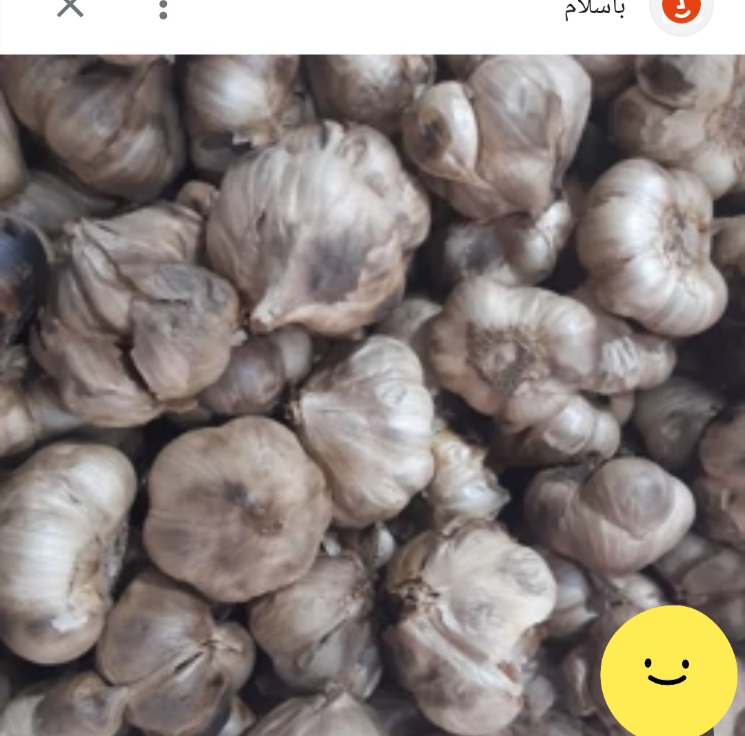 تصویر 2 از فروش سیر سیاه با کیفیت و درمانی