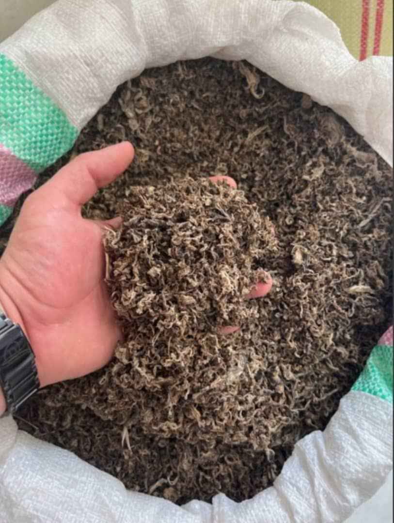 تصویر 2 از فروش تفاله پرک چغندر