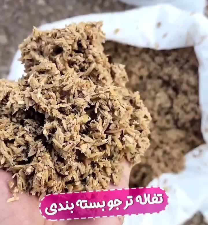 تصویر 2 از خرید توزیع تفاله جو قائمشهر