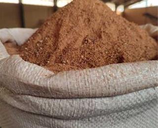 تصویر 1 از پخش تفاله خرما + فروش