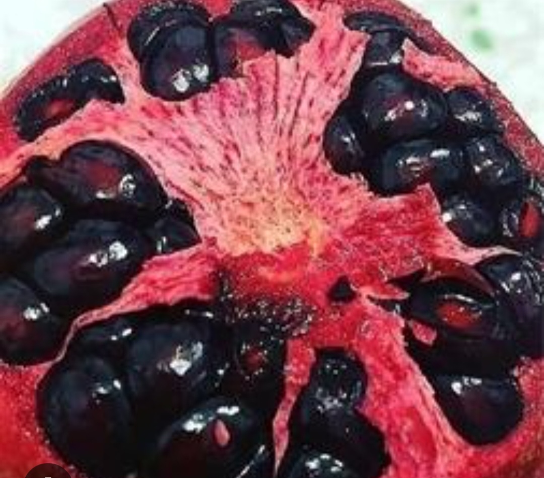 خرید و فروش عمده انار دون سیاه شیراز