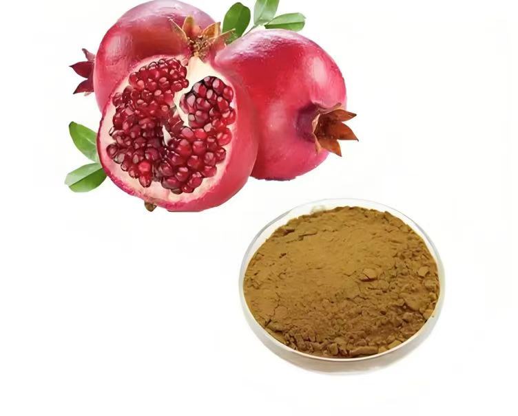 قیمت خرید عمده پودر پوست انار + نرخ بازار