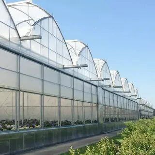 تصویر 3 از خرید و قیمت پلاستیک گلخانه عرض 8 متر + فروش بی‌واسطه