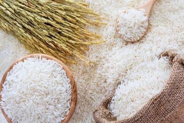 تصویر 1 از قیمت و خرید برنج کامفیروز بدون واسطه