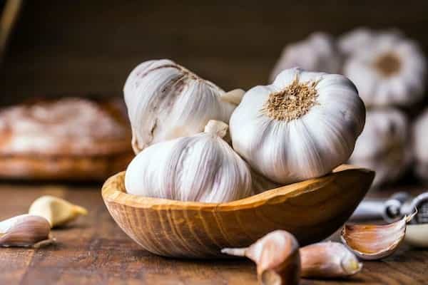 تصویر 1 از خرید و قیمت سیر هاردنک آسیایی + فروش عمده