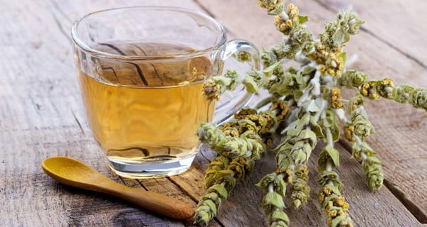 تصویر 5 از قیمت خرید چای کوهی شیراز + فروش عمده