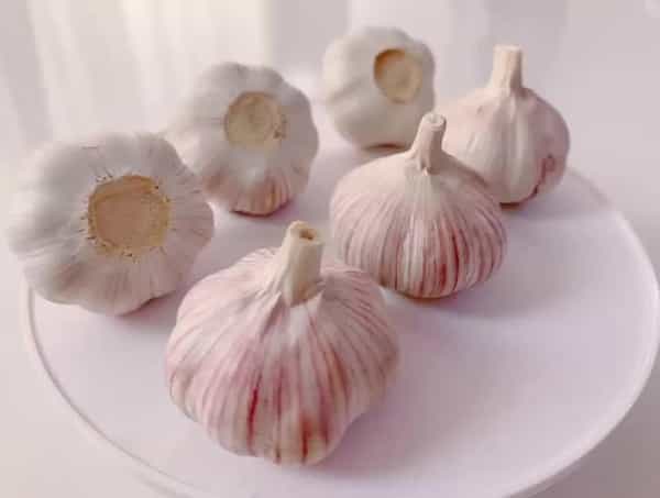 تصویر 1 از قیمت سیر خاورمیانه + خرید باور نکردنی
