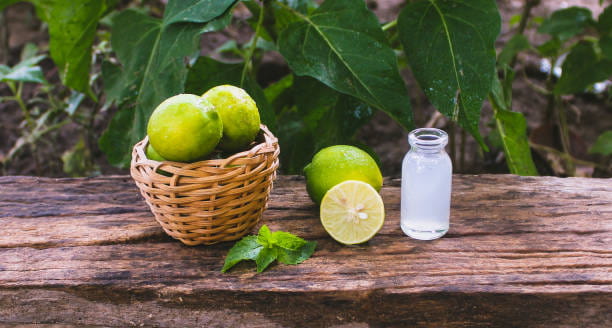 تصویر 2 از قیمت کنسانتره لیموترش اسپانیایی + خرید باور نکردنی