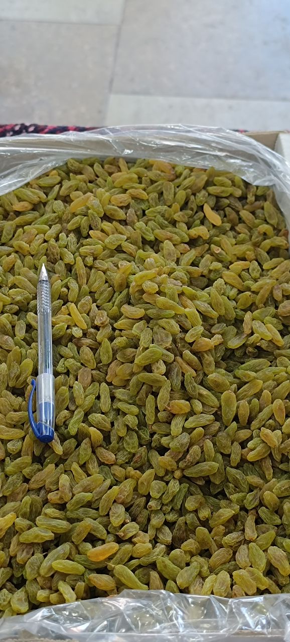 کشمش سبز قلمی کاشمر با قیمت استثنایی