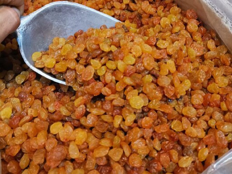 خرید ویژه کشمش پلویی + کیفیت بالا