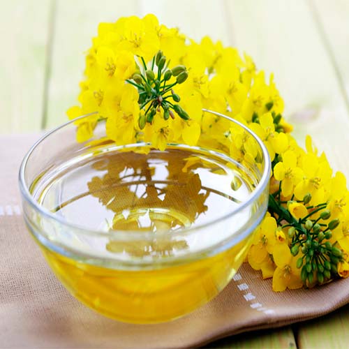 تصویر 1 از فروش ویژه ی روغن کلزا یک لیتری + خرید آسان