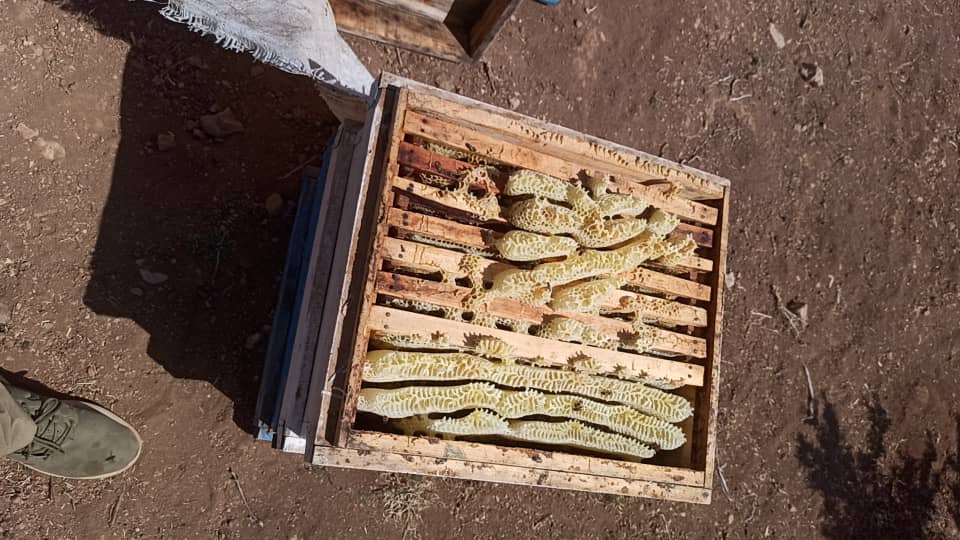 تصویر 3 از عسل ارگانیک چهل گیاه مرغوب کردستان