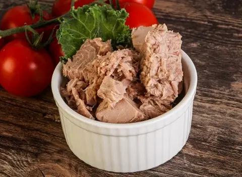 تصویر 1 از قیمت خرید تن ماهی + فروش ویژه