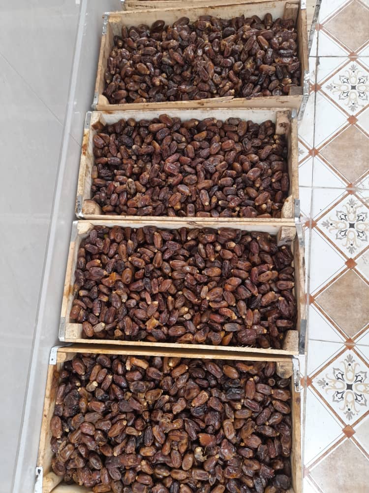تصویر 3 از خرید و قیمت خرما استعمران + فروش استثنایی