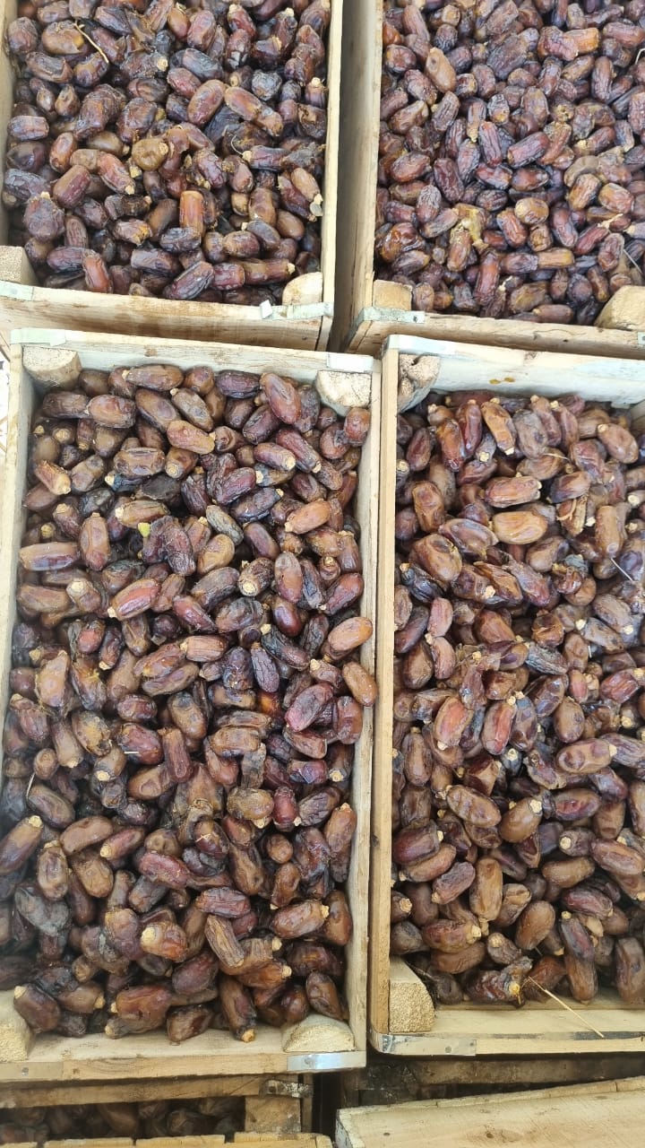 تصویر 2 از خرید و قیمت خرما استعمران + فروش استثنایی