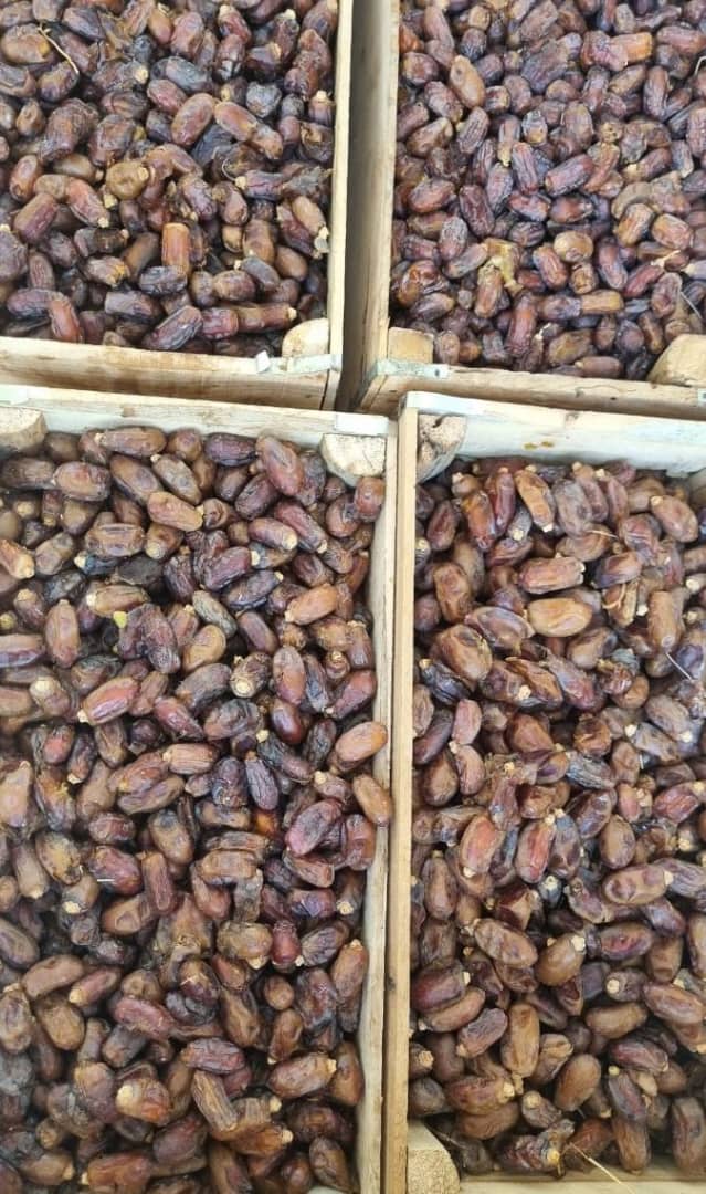 تصویر 1 از خرید و قیمت خرما استعمران + فروش استثنایی