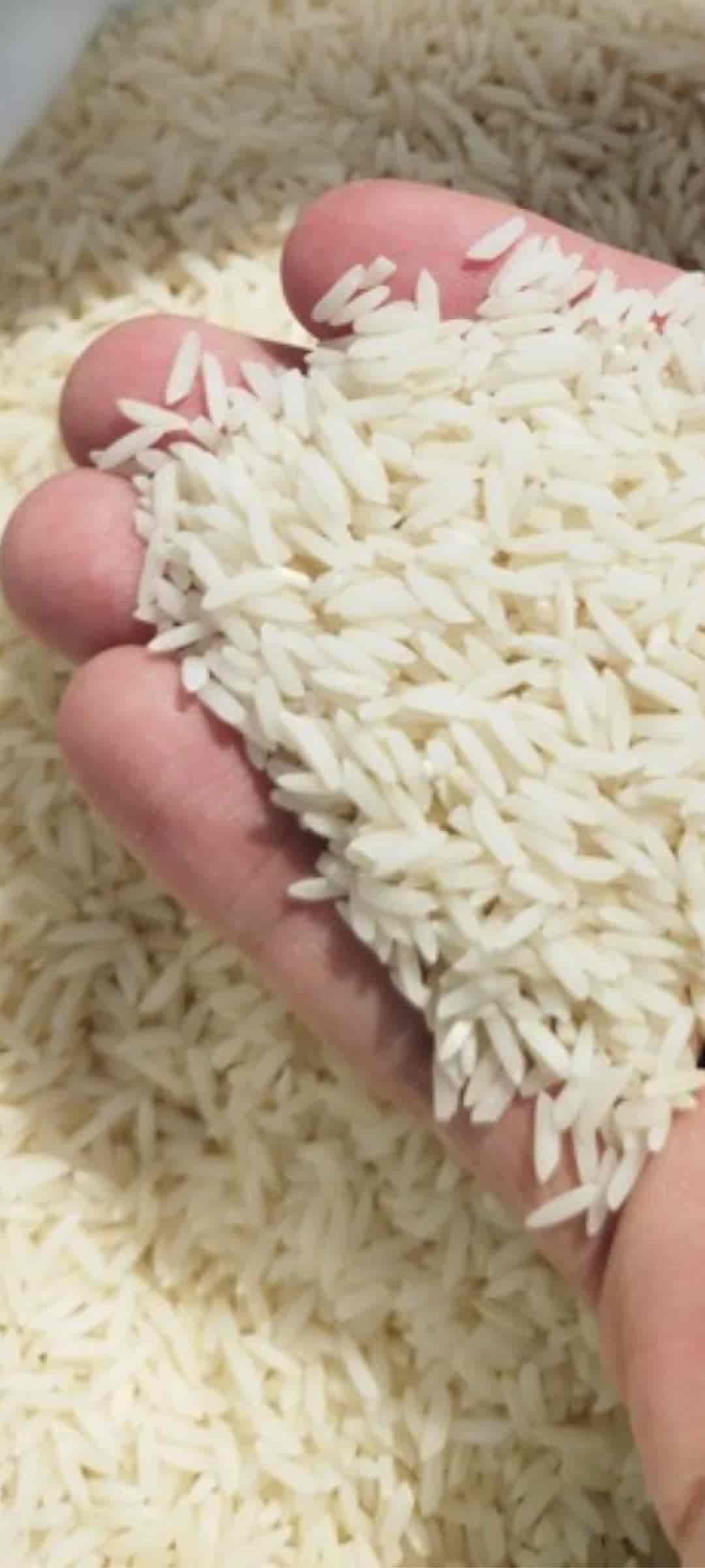 تصویر 1 از قیمت خرید برنج کامفیروزی درجه یک