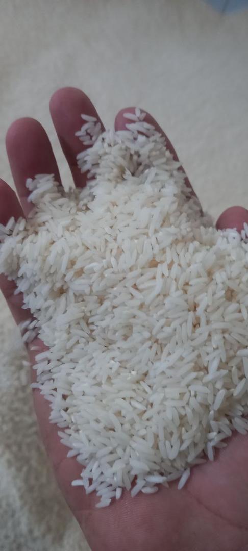تصویر 1 از قیمت فروش برنج ۱۱۲۱ هندی البرز
