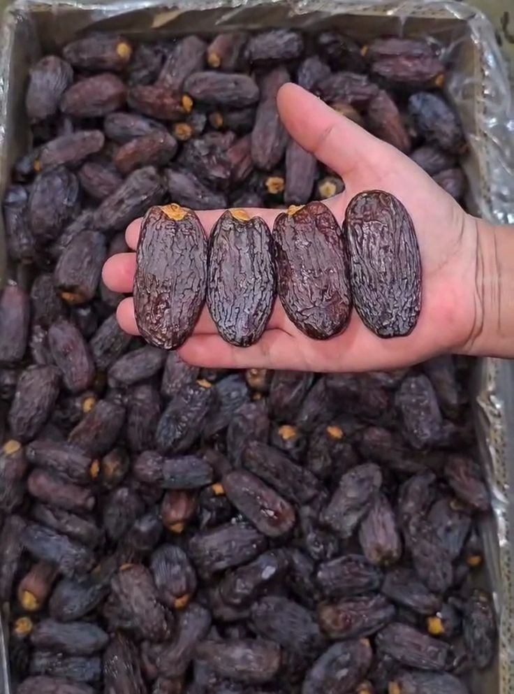 تصویر 3 از فروش عمده خرما مجول صادراتی با قیمت رقابتی