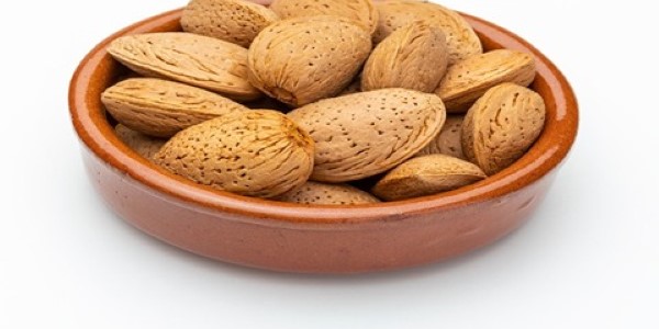 تصویر 4 از قیمت بادام ربیع صادراتی با کیفیت یکدست