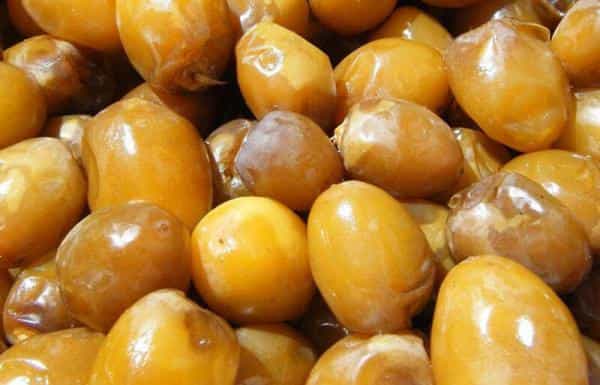 تصویر 5 از قیمت خرما زاهدی خشک + خرید باور نکردنی