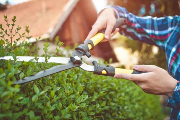 راهنمای خرید قیچی باغبانی بزرگ + قیمت عالی