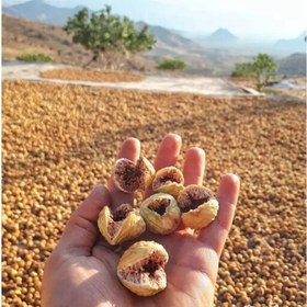 تصویر 1 از خرید انجیر درجه یک استهبان + فروش فوری