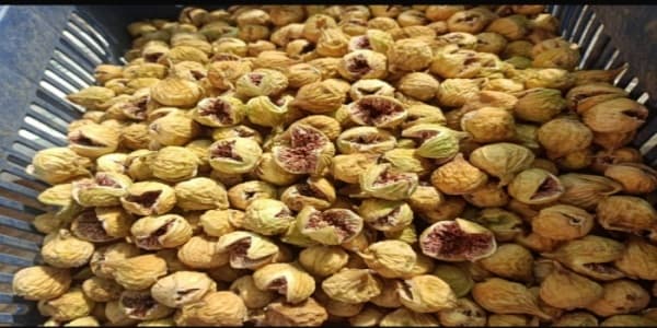 تصویر 5 از خرید و قیمت انجیر خشک آردی استهبان + فروش عمده
