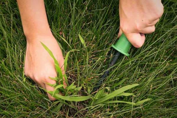 تصویر 3 از معرفی قیچی باغبانی هرس چمن + بهترین قیمت خرید