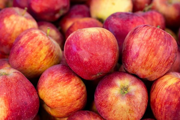 تصویر 2 از خرید و قیمت سیب گلاب + فروش عمده