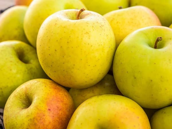 تصویر 4 از خرید و قیمت سیب گلاب سفید + فروش عمده