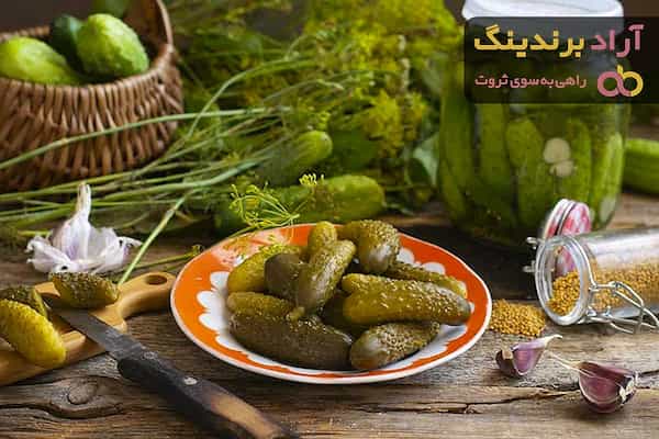 تصویر 5 از راهنمای خرید خیارشور دبه ای + قیمت عالی