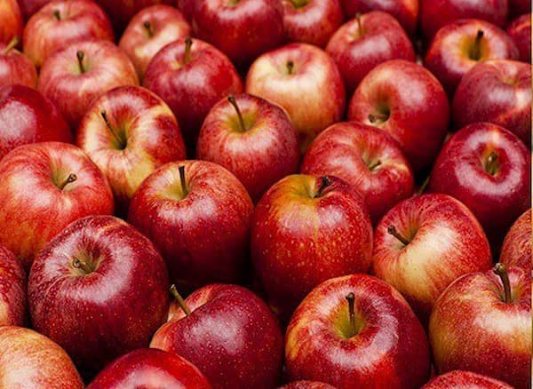 تصویر 3 از خرید و قیمت سیب محلی مراغه + فروش عمده