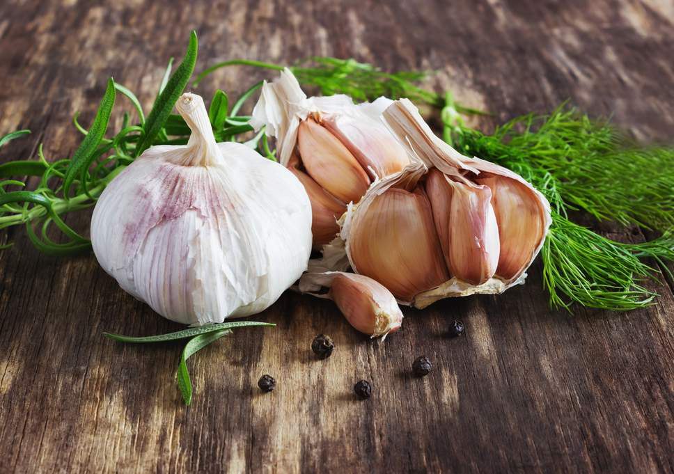 تصویر 1 از معرفی سیر خشک صادراتی + بهترین قیمت خرید