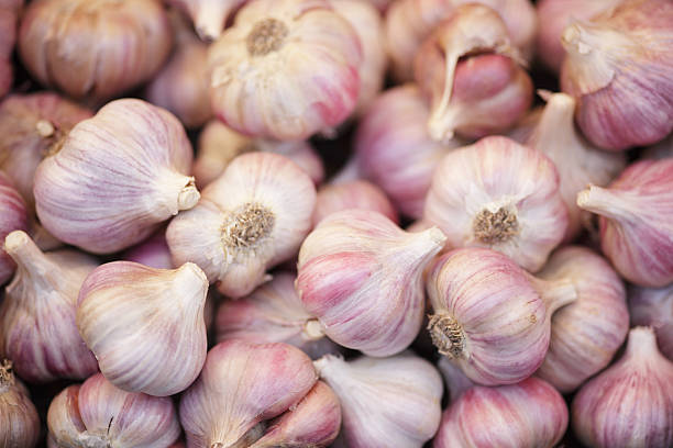 تصویر 2 از قیمت خرید سیر درجه یک تویسرگان + فروش ویژه